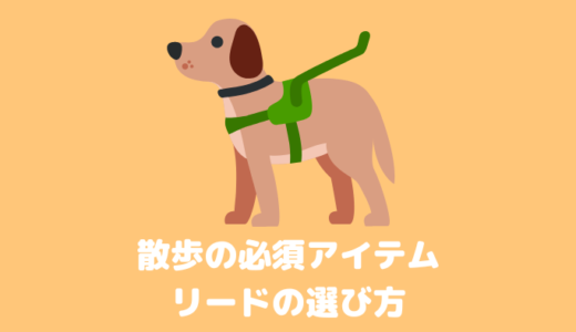 【犬用リード】愛犬にあったリードの種類と選び方、ハーネスと首輪の違いを紹介
