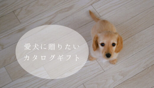 【犬専用カタログギフト】ギフトパレットは愛犬家に贈りたいおすすめのプレゼント