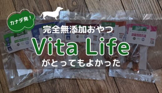 【無添加おやつ】Vita Lifeはチキンが大好きな犬におすすめのおやつ