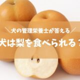 【犬に梨を与えても大丈夫？】犬の健康に役立つ梨の知識と与え方