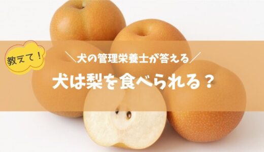 【犬に梨を与えても大丈夫？】犬の健康に役立つ梨の知識と与え方